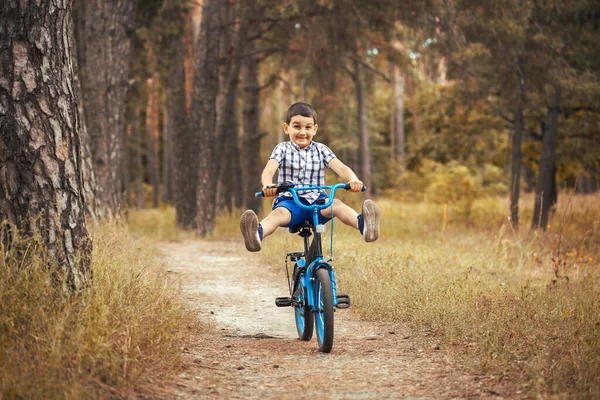 Engraçado Menino Ciclista Passeios Floresta Ensolarada Uma Bicicleta Viagem Aventura — Fotografia de Stock