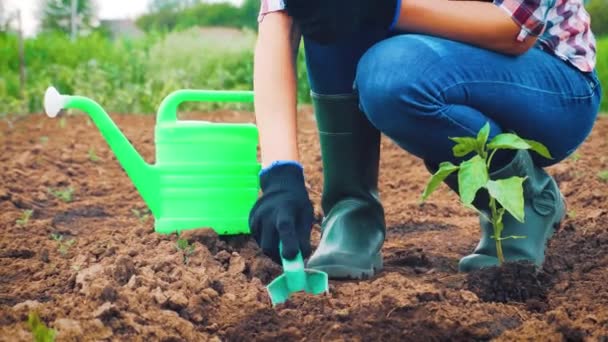 Granjera en el trabajo en el jardín. Agricultura ecológica Videoclip