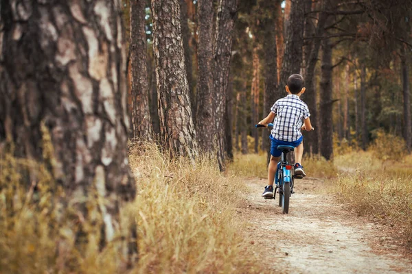 Funny Boy Cyclist Rides Sunny Forest Bike Adventure Travel Back — Stock Photo, Image