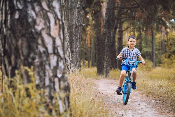 Divertente Ragazzo Ciclista Cavalca Nella Foresta Soleggiata Bicicletta Viaggio Avventura — Foto Stock