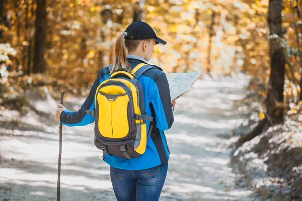 Heureuse Jeune Touriste Marche Dans Bois Automne Activité — Photo