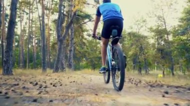 Sakallı adam dağ bisikletiyle ormanda bisiklet sürüyor..