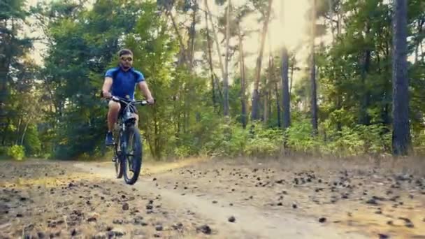Barbudo ciclista hombre paseos en el bosque en una bicicleta de montaña. Imágenes de stock libres de derechos