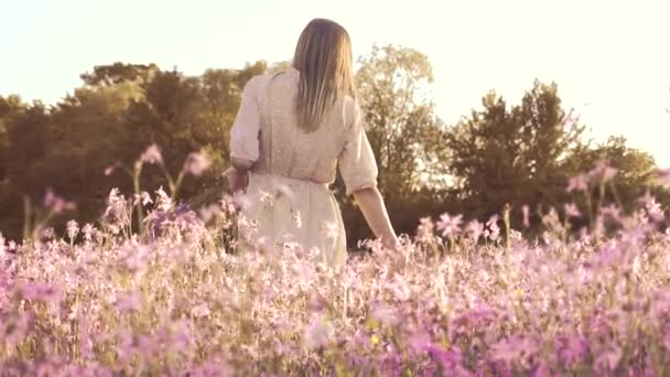 Jonge vrouw met een boeket wilde bloemen op een zonnige bloeiende weide — Stockvideo