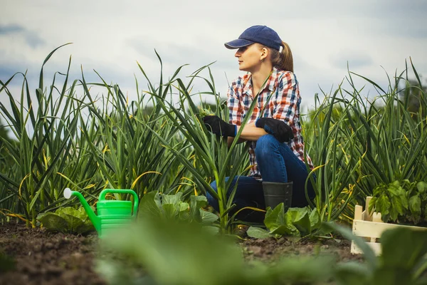 A nő agronómusa ellenőrzi a fokhagyma növekedési ütemét egy ökotelepen.. — Stock Fotó