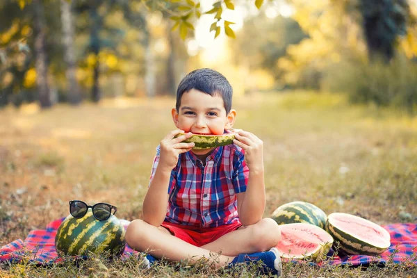 Щасливий хлопчик їсть стиглий кавун в літньому парку — стокове фото