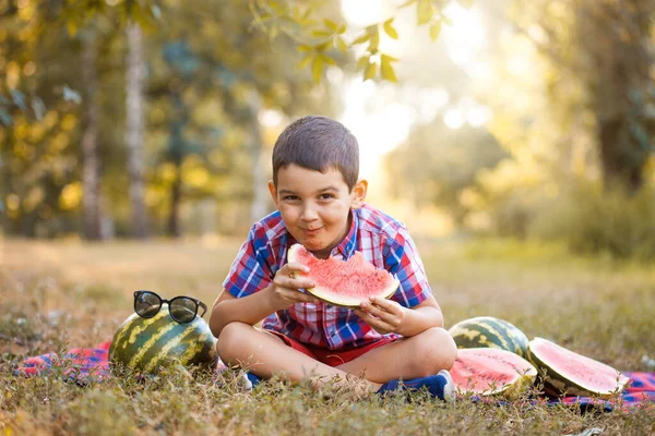 Щасливий хлопчик їсть стиглий кавун в літньому парку — стокове фото