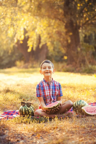 Happy boy eating ripe watermelon in summer park — Stock Photo, Image