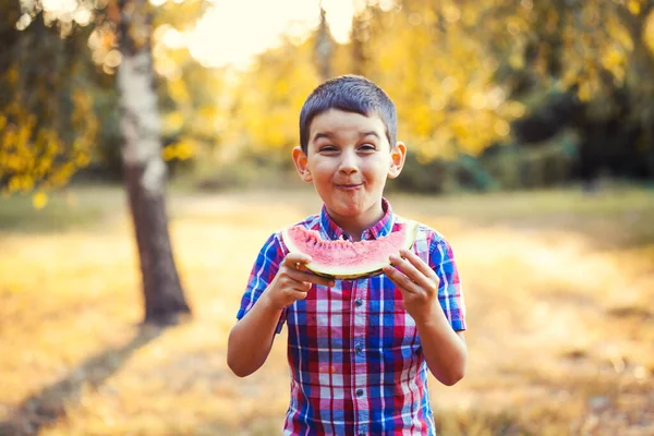 Happy boy eating ripe watermelon in summer park — Stock Photo, Image