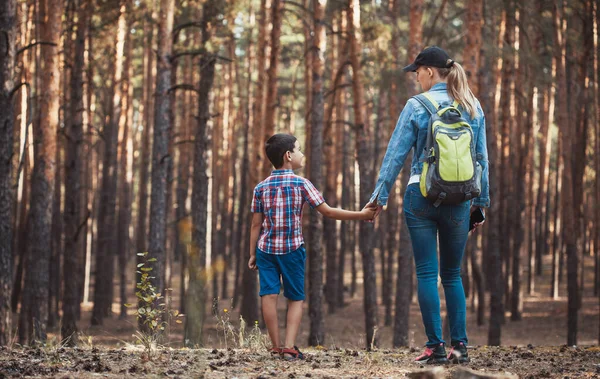 Mam en zoon lopen in een dennenbos. Toerisme, buitenactiviteiten — Stockfoto