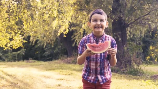 Щасливий хлопчик їсть стиглий кавун в літньому парку — стокове відео