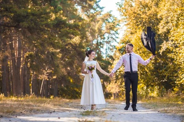 Recém-casados estão andando no parque verde — Fotografia de Stock