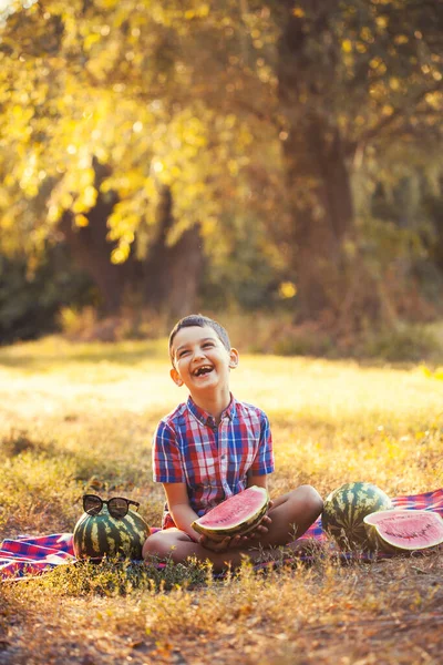 Glücklicher Junge isst reife Wassermelone im Sommerpark — Stockfoto