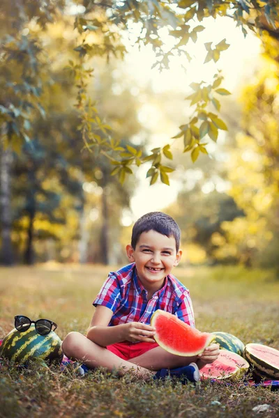 Happy boy eating ripe watermelon in summer park — Stock Photo, Image