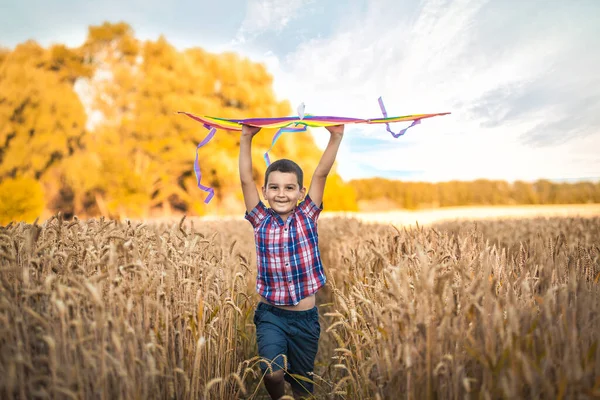 Menino de camisa azul correndo com pipa no campo de trigo — Fotografia de Stock