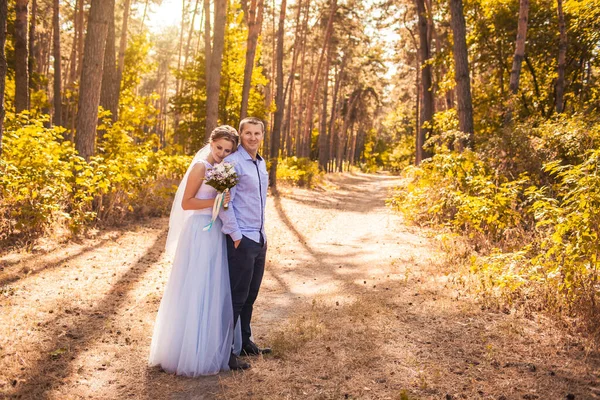 新婚夫妇在绿松林里散步 — 图库照片