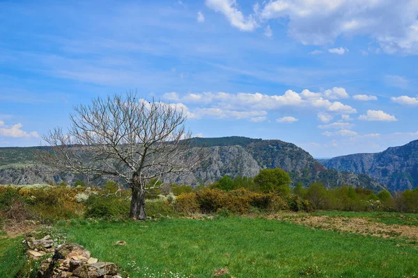 Galicyjski krajobraz — Zdjęcie stockowe