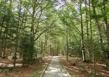 Ordesa Doğal Parkı'nda İşaretli Yol