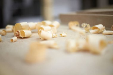 Marangoz atölyesinde ahşap talaşı.