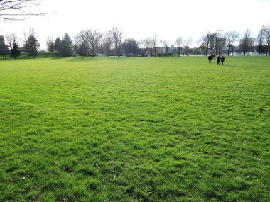 Açık havada bir parkta Clear Grass alanı