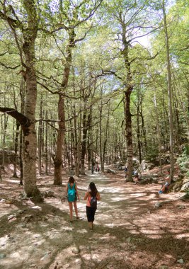 Sonbaharda uzun bir ormanda yürüyen iki genç kadın