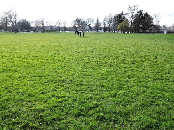 Klart gräsfält i en Park utomhus — Stockfoto