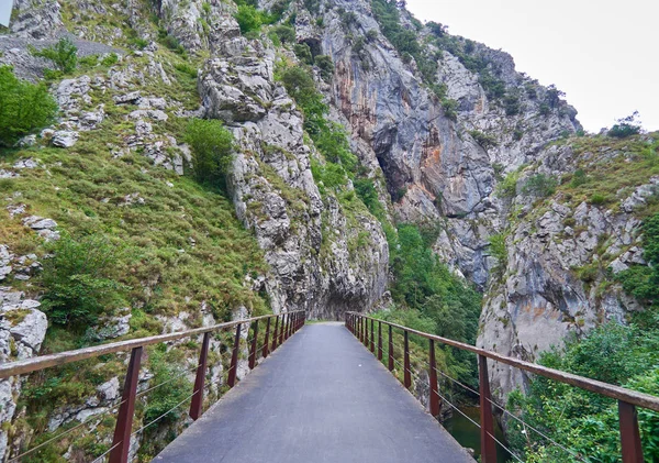 Ruta del Oso (medve útvonal), Asturias, Spanyolország — Stock Fotó