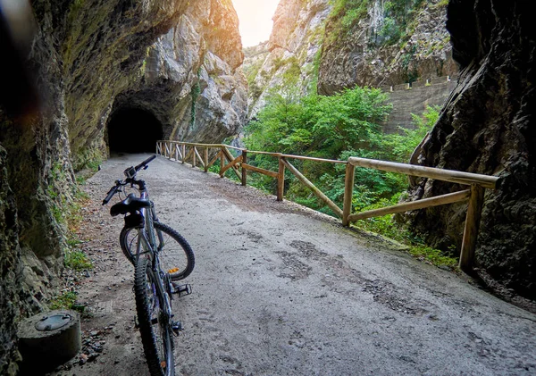 Ruta del Oso (Route de l'Ours) en Asturies, Espagne — Photo