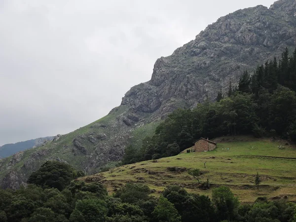 Widok krajobrazu Asturii, Hiszpania — Zdjęcie stockowe