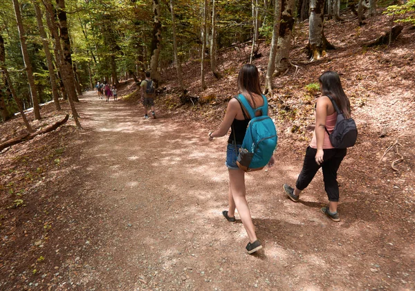 Дві молодої жінки, що йдуть в лісі восени — стокове фото