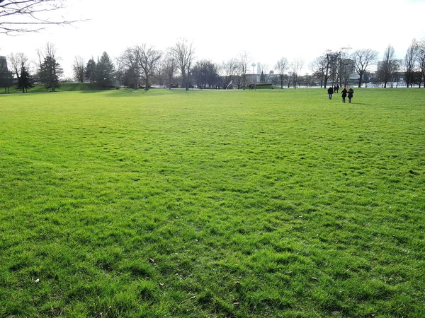 Clear Grass field in a park outdoors — Stock Photo, Image