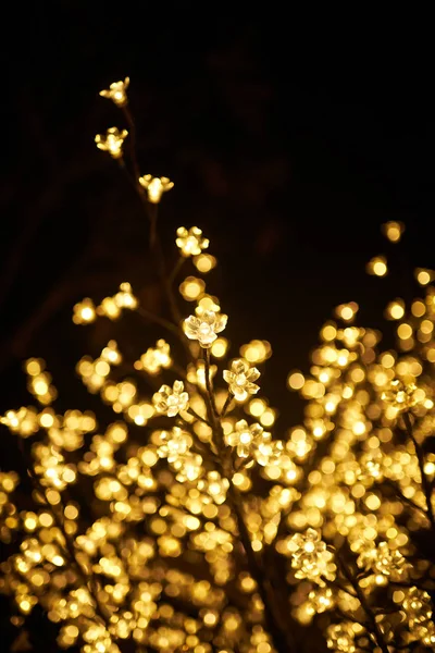 Květiny vyrobené ze světla. Vánoční dekorace — Stock fotografie