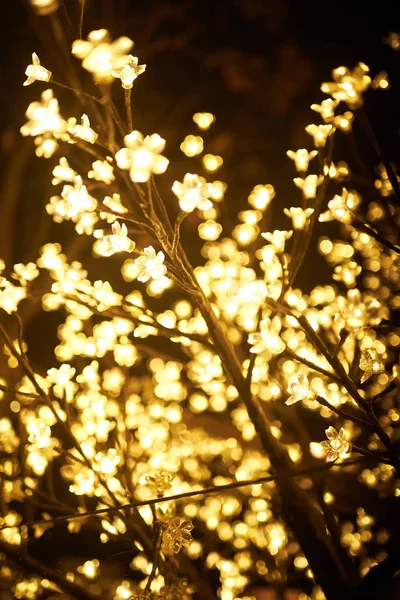 Işıktan yapılmış çiçekler. Noel kentsel dekorasyon — Stok fotoğraf