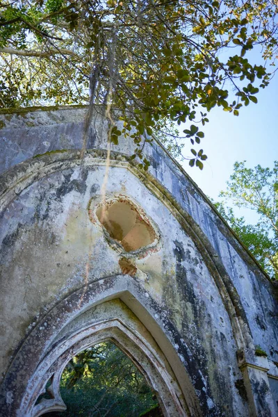 Détail d'un bâtiment abandonné au milieu de la jungle — Photo