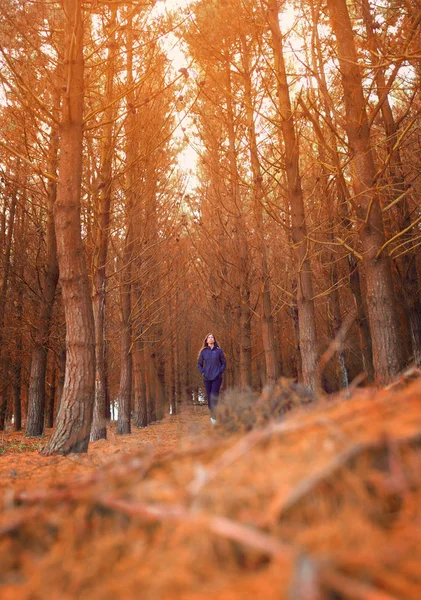 Молода жінка прогулюється по лісу восени — стокове фото