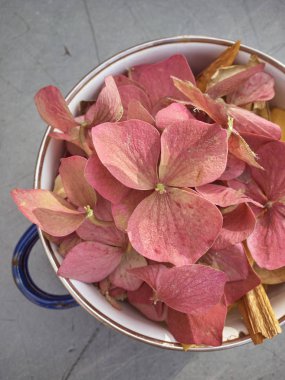 Küçük bir metal pişirme tenceresi üzerinde kırmızı çiçekler