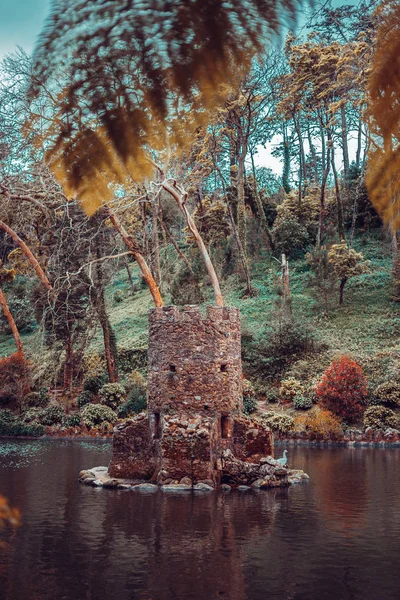 Wieża zamkowa wyłaniająca się z jeziora i otoczona lasem — Zdjęcie stockowe