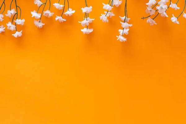 Colocación Plana Flores Blancas Sobre Fondo Amarillo Con Mucho Espacio — Foto de Stock