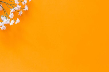 Bir sürü kopya alanı olan sarı bir arkaplan karşısında düz beyaz çiçekler.