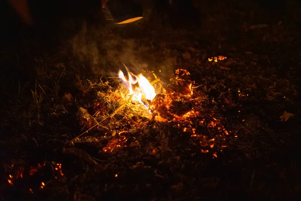 田野中央的小篝火 — 图库照片