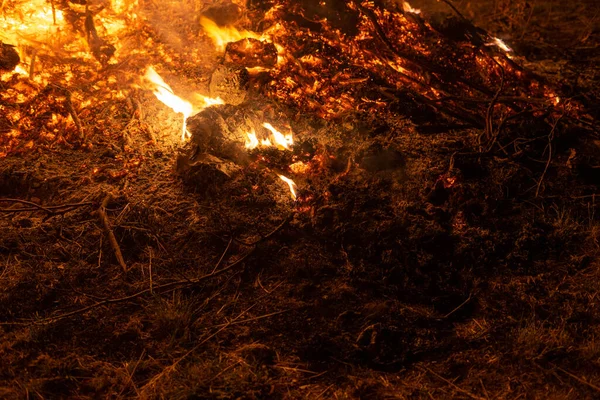 Podrobnosti Popelu Zemi Během Požáru — Stock fotografie