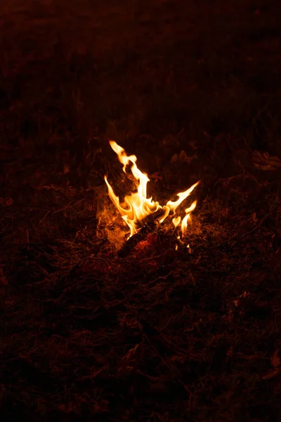 Tarlanın Ortasında Küçük Bir Kamp Ateşi — Stok fotoğraf
