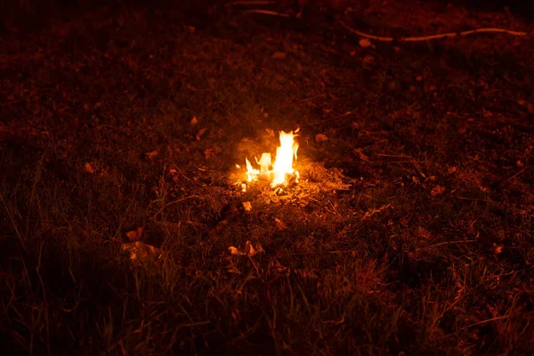 Small Campfire Middle Field — Stock Photo, Image