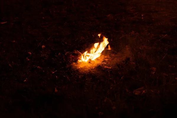 Small Campfire Middle Field — Stock Photo, Image