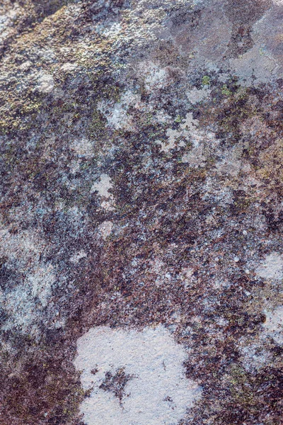 Textura Alta Resolução Uma Grande Pedra Cheia Líquenes Livre — Fotografia de Stock