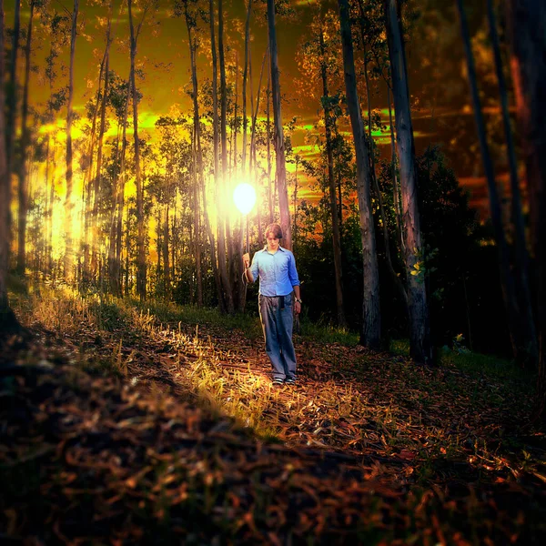 Чоловік Тримає Плавучу Кульку Світла Заході Сонця Лісі — стокове фото