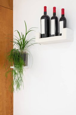 Restoranın köşesinde bitkiler ve şarap şişeleri var.