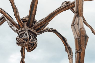 Bilbao, İspanya 'daki Guggenheim Müzesi' nin dış cephesinde Louise Burgeois 'in Maman heykelinin detayları.