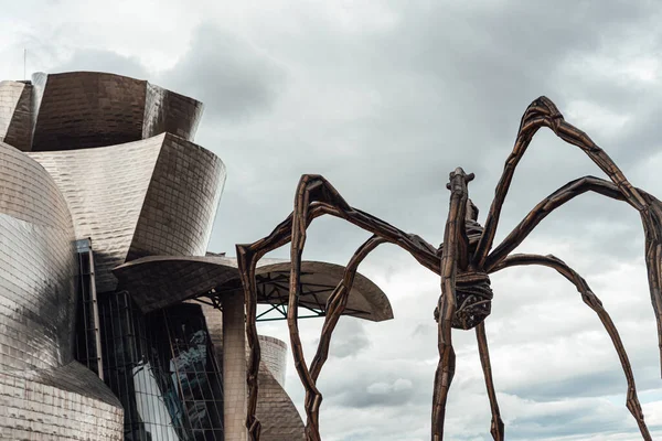 Detalle Del Edificio Del Museo Guggenheim Por Frank Gehry Bilbao —  Fotos de Stock