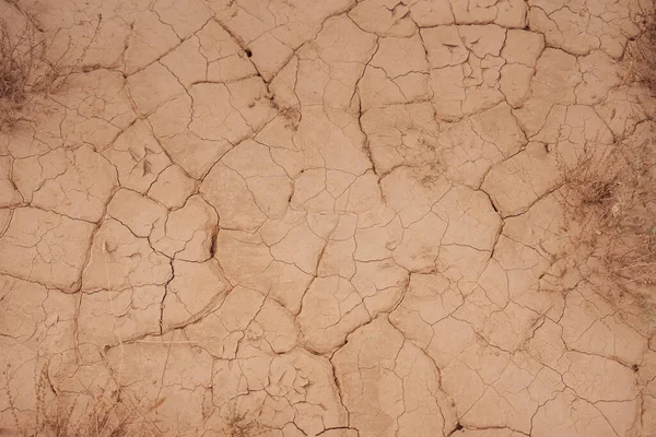 Cracked dirt texture with dry vegetation from above